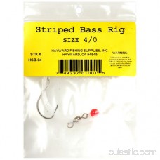 Hayward Striped Bass Rig 564772255